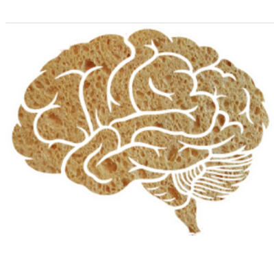 uitleg PSYCH-K® Hersenen als een spons